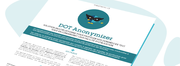 Bannière DOT Anonymizer Datasheet